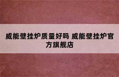 威能壁挂炉质量好吗 威能壁挂炉官方旗舰店